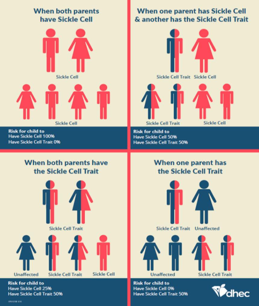 sickle cell inheritance chart